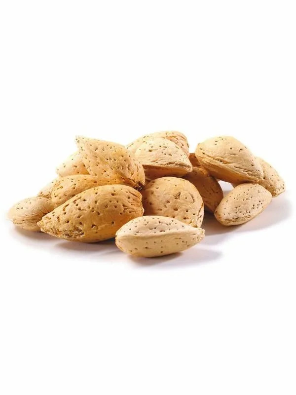 تصویر 2 از بادام درختی با پوست تازه و درجه یک